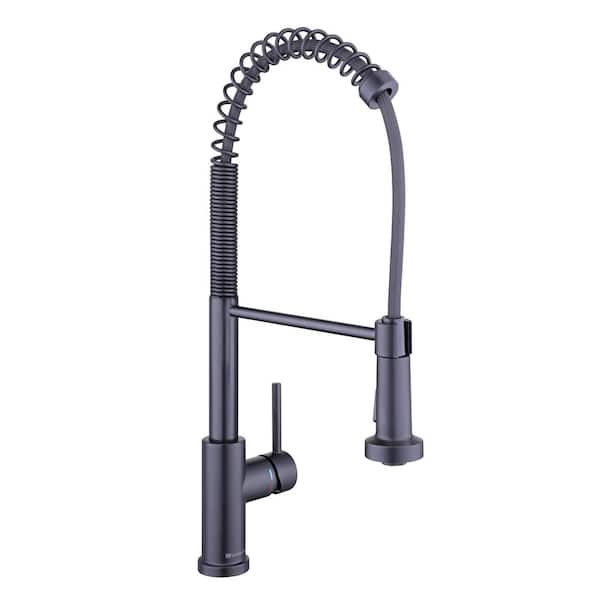 Paulina Single-Handle Spring Neck Pull Down Sprayer Kitchen Faucet in Matte Black