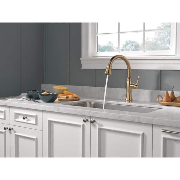 Cassidy Single-Handle Pull-Down Sprayer Kitchen Faucet in Lumicoat Champagne Bronze
