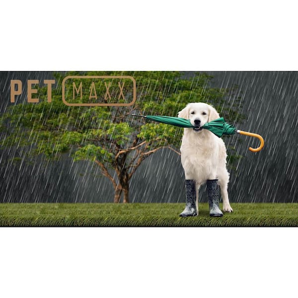 15 ft. W x Cut to Length Green and Tan Quick Draining Artificial Grass Turf