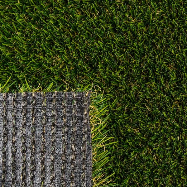 Santa Monica Fescue 15 ft. Wide x Cut to Length Green Artificial Grass Carpet