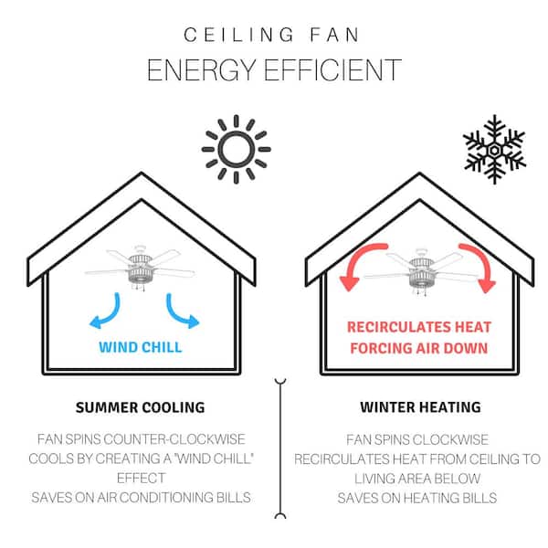 Duchess 52 in. Clear Crystal LED Ceiling Fan With Light