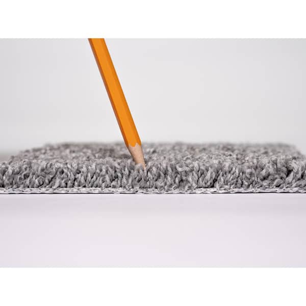 Lucky - Penny Charmed - Gray 40 oz. SD Polyester Texture Installed Carpet