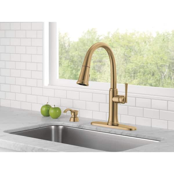 Eldridge Single Handle Pull Down Sprayer Kitchen Faucet with ShieldSpray Technology in Champagne Bronze