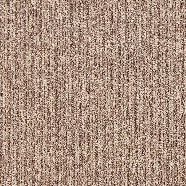 Finton  - Cancun - Brown 24 oz. SD Polyester Loop Installed Carpet