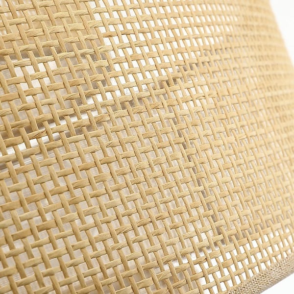 Nekoosa 24 in. Black 5-Light Double Shade Drum Chandelier