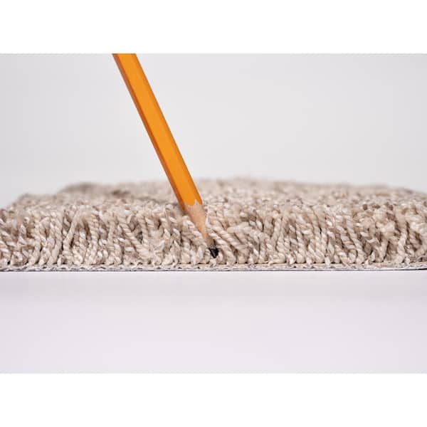 Nimble Creek - Lodge - Beige 32 oz. SD Polyester Texture Installed Carpet