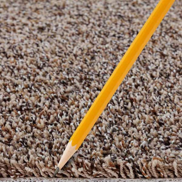 Playful Moments II - Pecan Bark - Brown 50 oz. Triexta Texture Installed Carpet