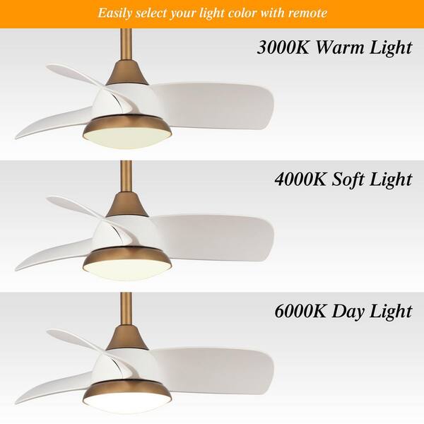 28 in. Integrated LED Brass Gold Ceiling Fan with Light and Remote Control