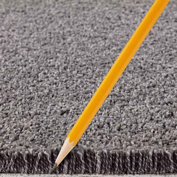 Gazelle II - Shale - Beige 55 oz. Triexta Texture Installed Carpet