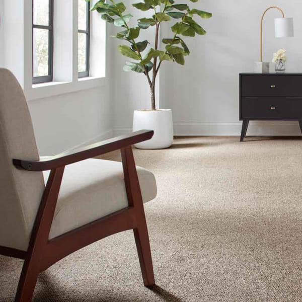 Hanville  - Gable - Brown 27 oz. SD Polyester Loop Installed Carpet