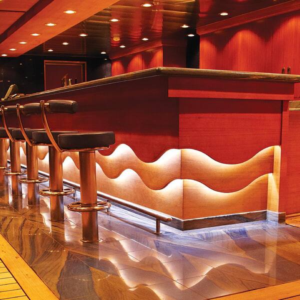 8.2 ft. (2.5 m) RibbonFlex PRO Warm White Tape Light Kit with Remote