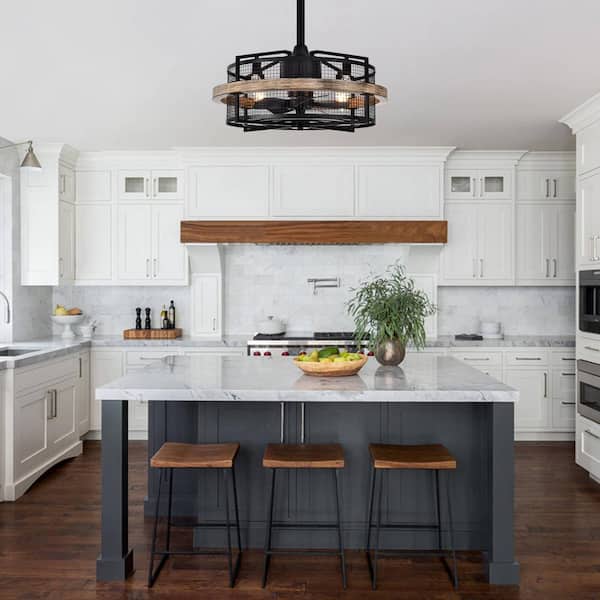 20 in. Indoor Modern Mesh Metal Drum Caged Black Ceiling Fan with Remote Control and Light Kit