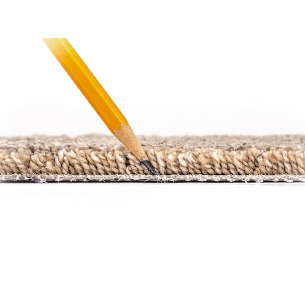 Belle Cove  - Hangout - Brown 45 oz. SD Polyester Pattern Installed Carpet