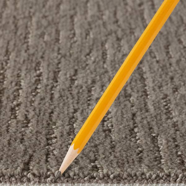 Enchantment  - Antelope - Brown 32 oz. Triexta Pattern Installed Carpet