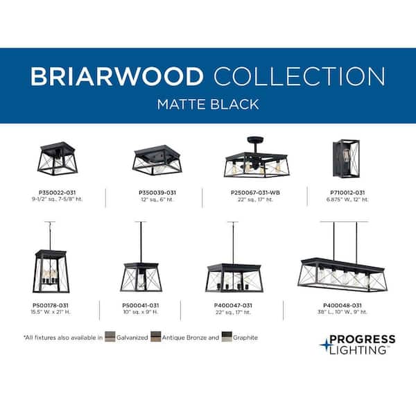 Briarwood Collection 1-Light Cerused Black Oak Farmhouse Wall Sconce Light