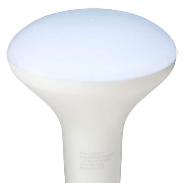 65-Watt Equivalent BR30 Dimmable Flood LED Light Bulb Daylight (12-Pack)
