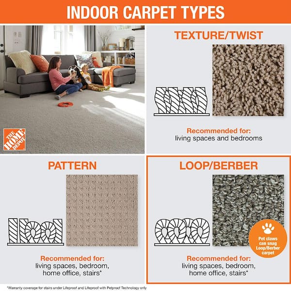 Dublin - Moon Gaze - Gray 39.3 oz. Nylon Loop Installed Carpet