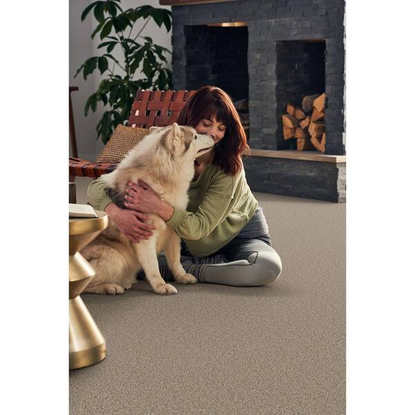 Pioneer - Desert Travels - Brown 73.5 oz. SD Polyester Texture Installed Carpet