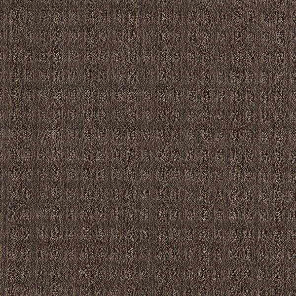 Canter  - Stone Passage - Brown 38 oz. Triexta Pattern Installed Carpet