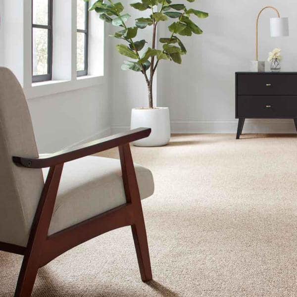 Hanville  - Southwest - Brown 27 oz. SD Polyester Loop Installed Carpet