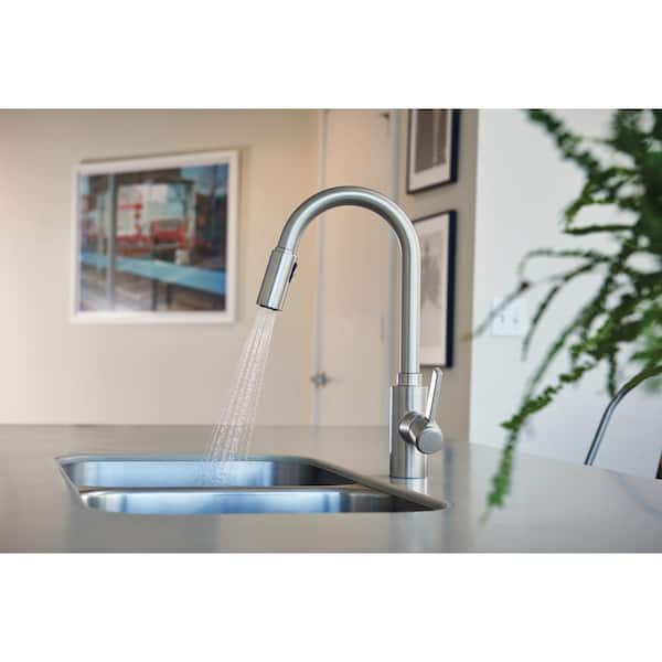 Genta LX Single-Handle Pull-Down Sprayer Kitchen Faucet with Reflex in Spot Resist Stainless