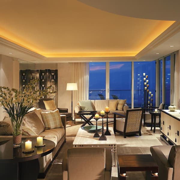 RibbonFlex Pro 24-Volt White CCT Tunable LED Tape Light