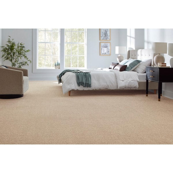 Still in Love II Every After Beige 54 oz. Blend Texture Installed Carpet