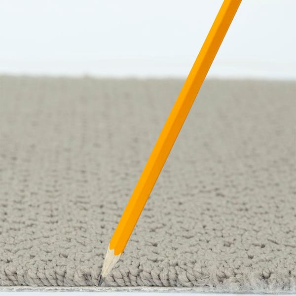 Lightbourne - Shadow - Gray 39.3 oz. Nylon Loop Installed Carpet