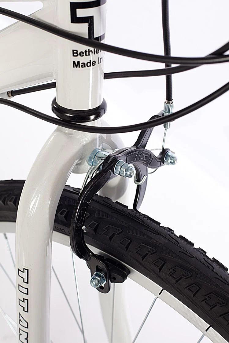 Titan 101-8415 Wildcat Women&s;s 12-Speed Teal Blue/White Mountain Bike