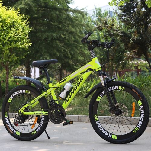 Adult Mountain Bike Double Disc Brake Men Women Bicycle Variable Speed Bicycle