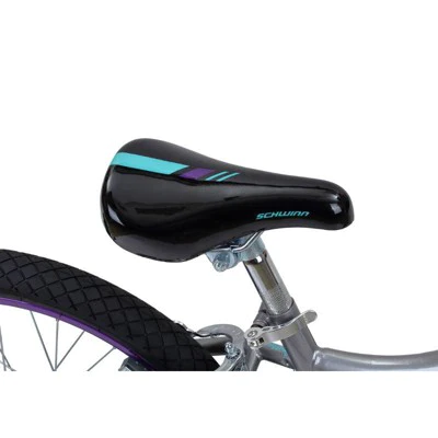 Schwinn Astrid 20" Kids' Bike - Gray