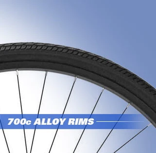 700c Thruster Fixie Men's Bike, Blue