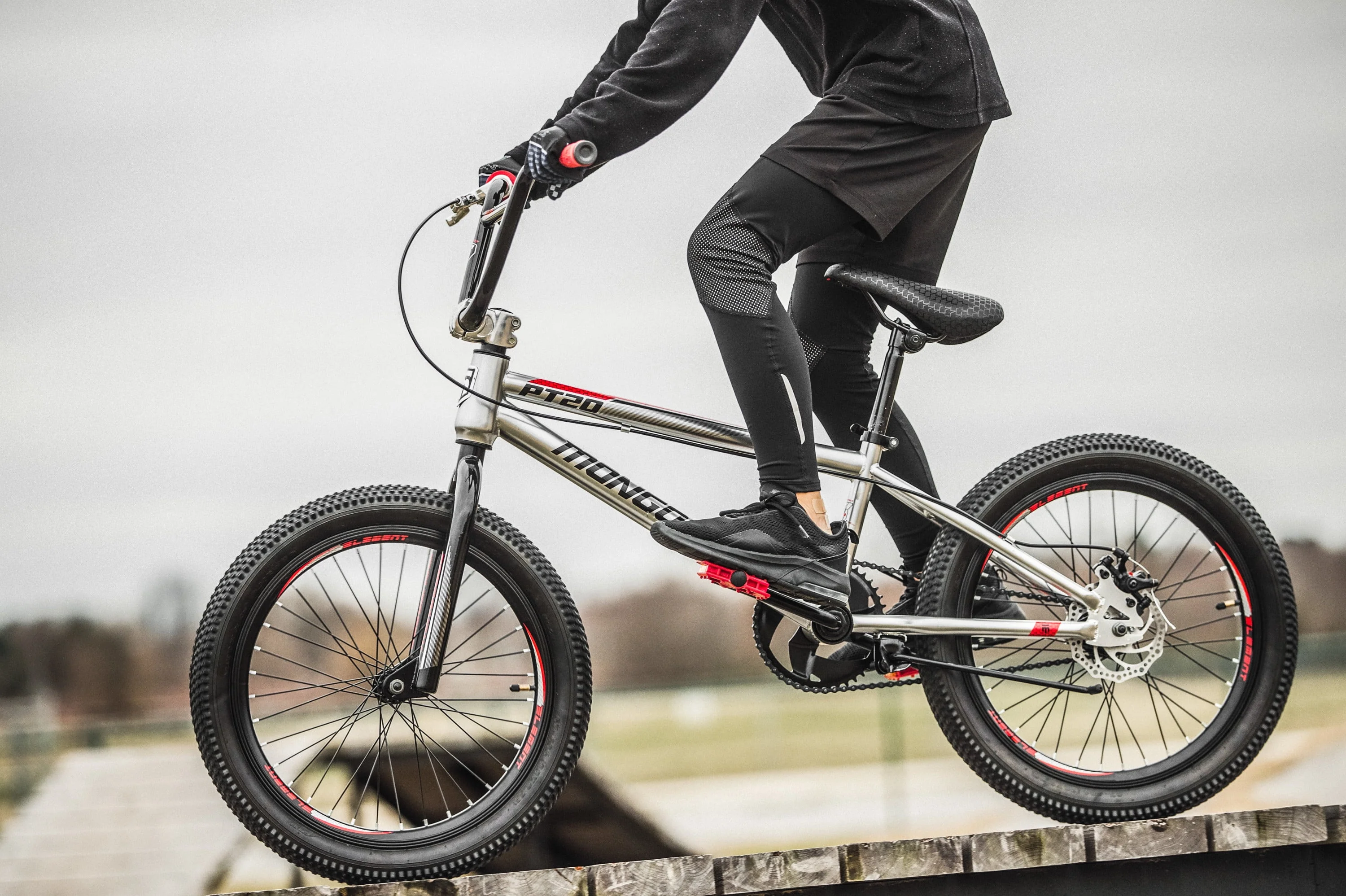 PT20 BMX 20 in. Kids Bike, Single Speed, Boys, Silver / Black