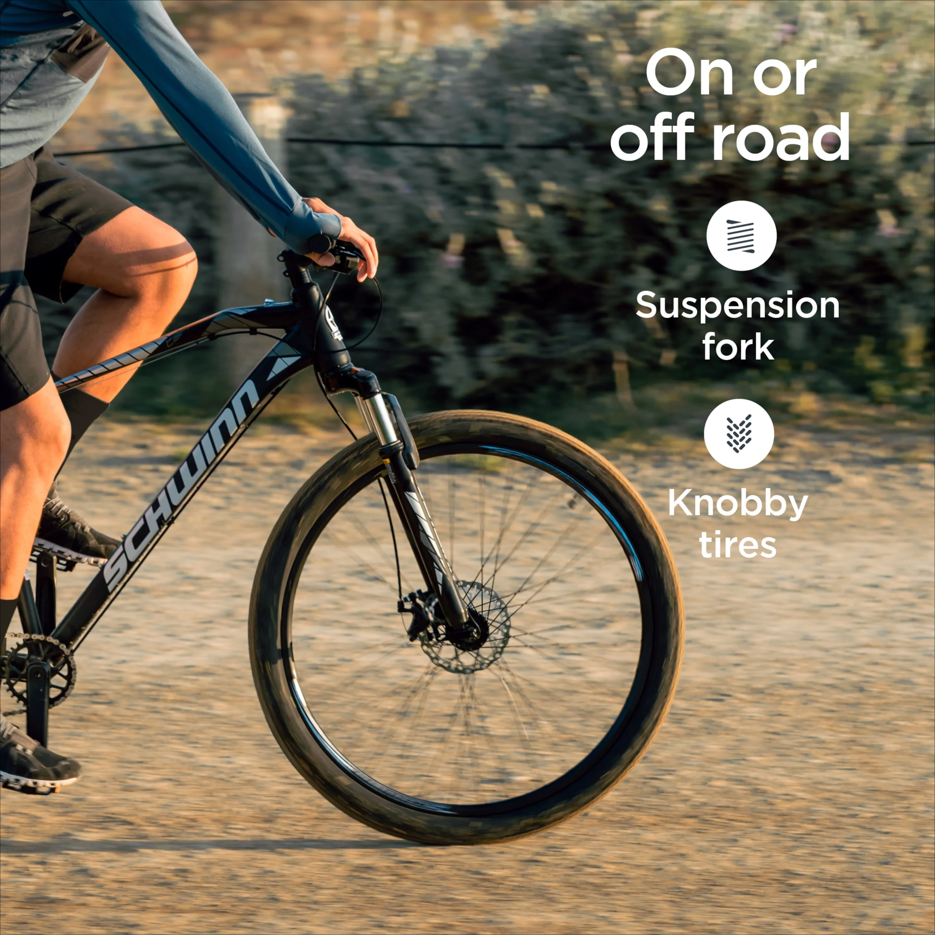 Taff Mountain Bike, 29-Inch Wheels, 8 Speeds, Black / White