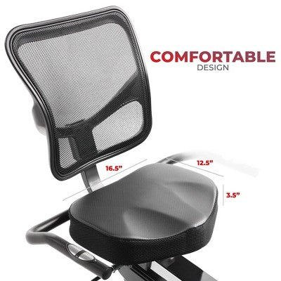 Sunny Health & Fitness Premium Magnetic Resistance Smart Recumbent Bike with Exclusive SunnyFit App - Gray