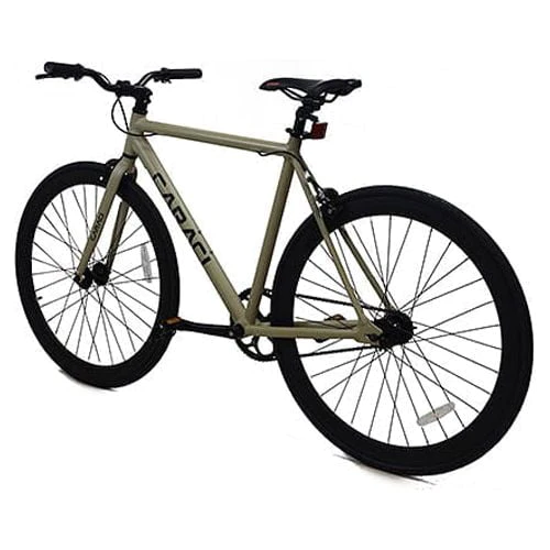 Fixie Bike Fixed Gear Single Speed Road Bike