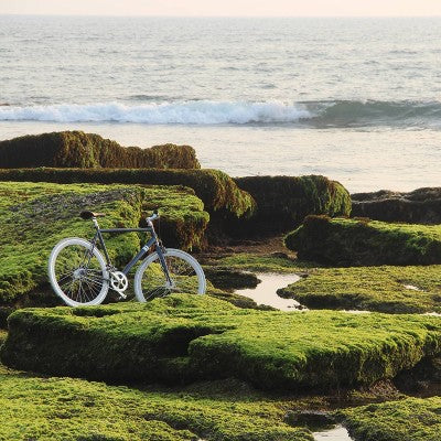 Sole Bicycles Single Speed 29