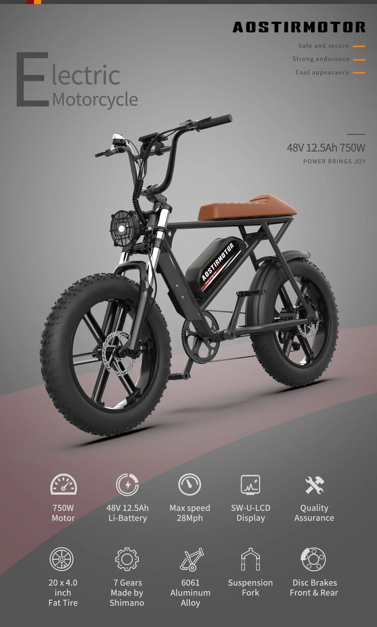 Aostirmotor Electric Bicycle 750W Motor 20