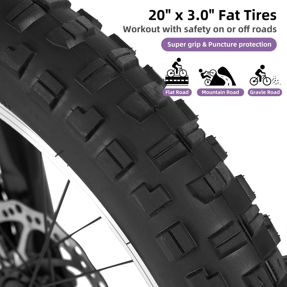 JOYSTAR 20 Inch Mountain Bike for Kids Ages 7-12 Year Old, 3-Inch Wide Knobby Tires, 7 Speed Shimano Drivetrain, Disc Brakes, Fat Tire Kids Bicycles for Boys Girls