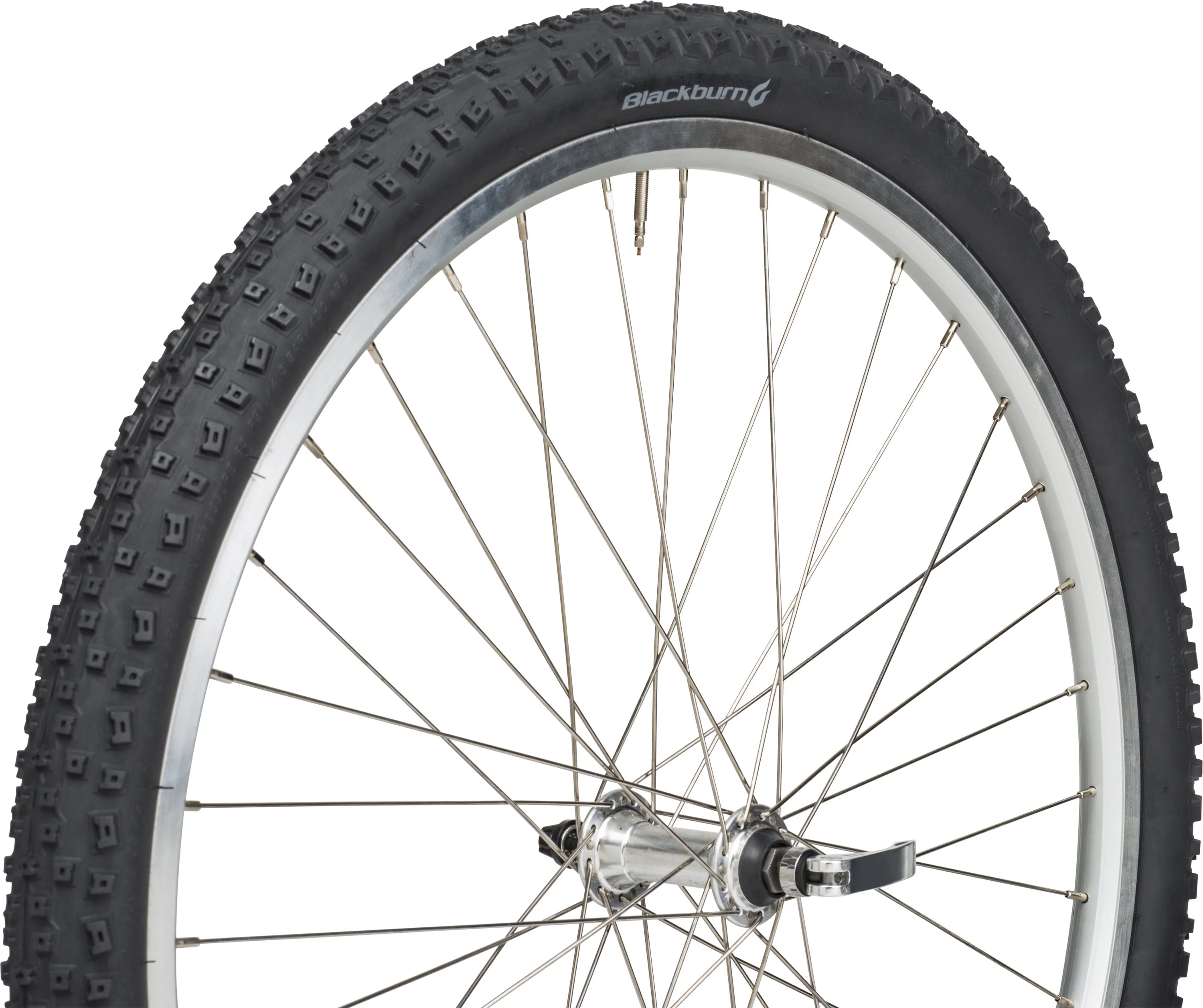 Blackburn Mountain Bike Tire, 20