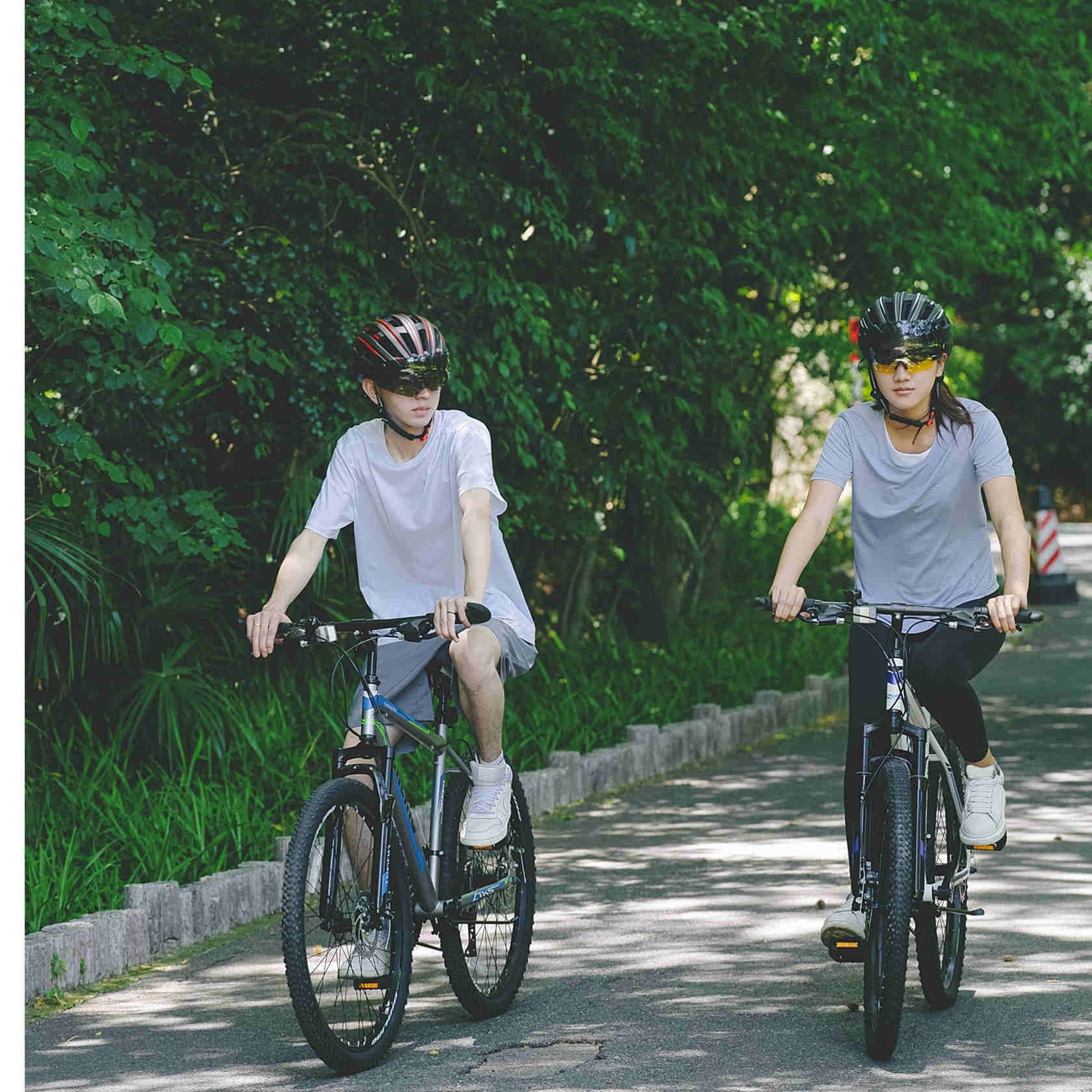 Dinling Adult Mountain Bike, 26 inch Wheels 21 Speed Hyhrid Bike for Men and Women Purple