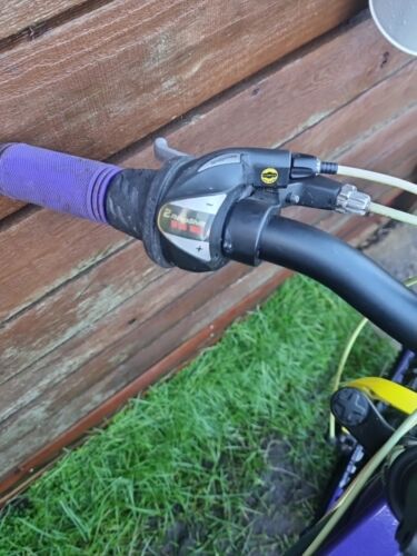 Carrera Luna 24. 2015 Model Lightweight Girls Mountain Bike. Ages 8-10 Approx.