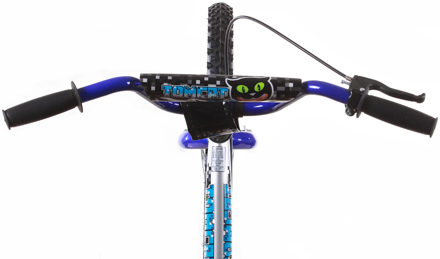 Titan Tomcat Boys BMX with 20