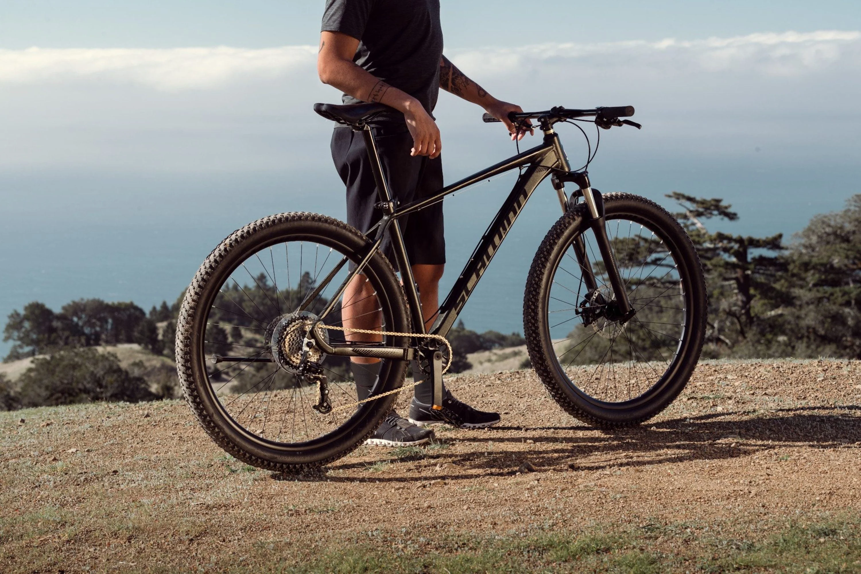 29-in. Axum Mens Mountain Bike, 19-in Frame, 8 Speeds, Black