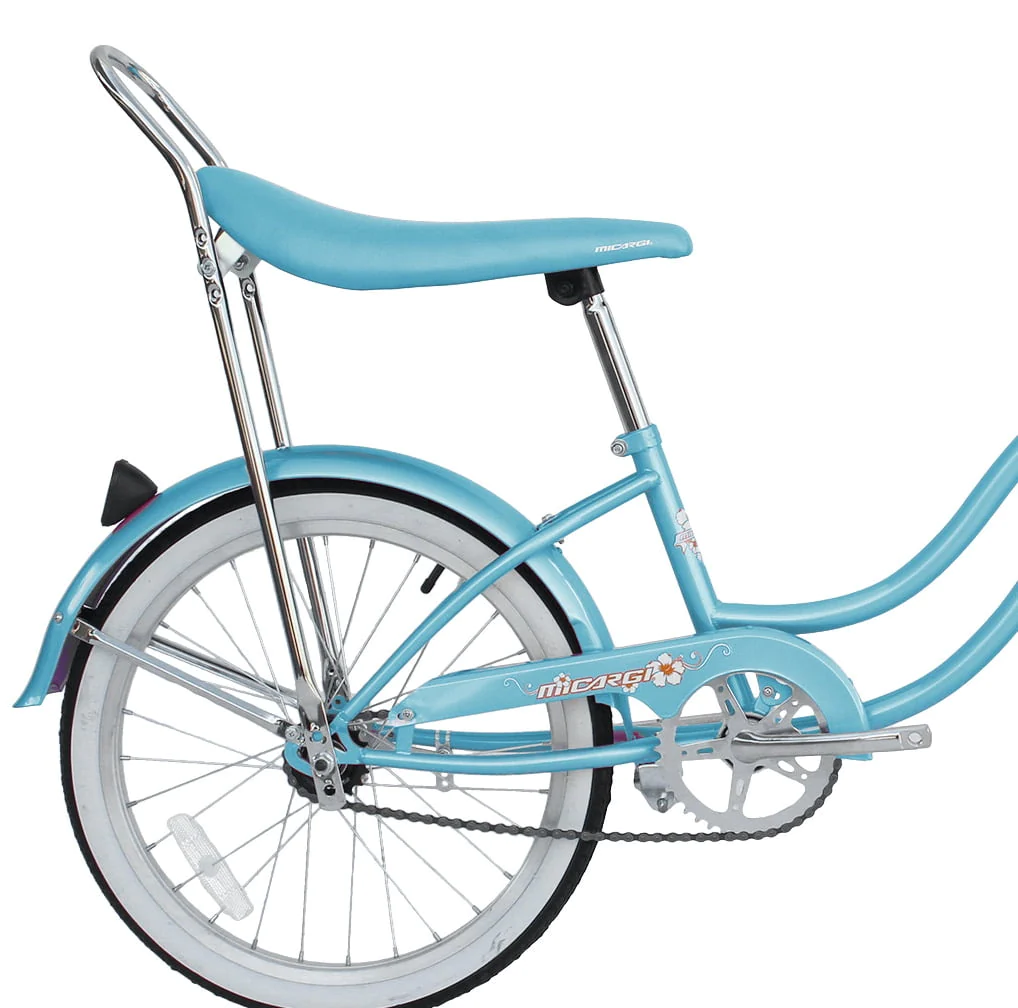 Wonder Wheels 20 Inch Women's Girls Beach Cruiser Lowrider Coaster Brake Single Speed Bicycle, Bike with Banana Seat Stainless Steel Spokes One Piece Crank Alloy Rims 36 H - Baby Blue