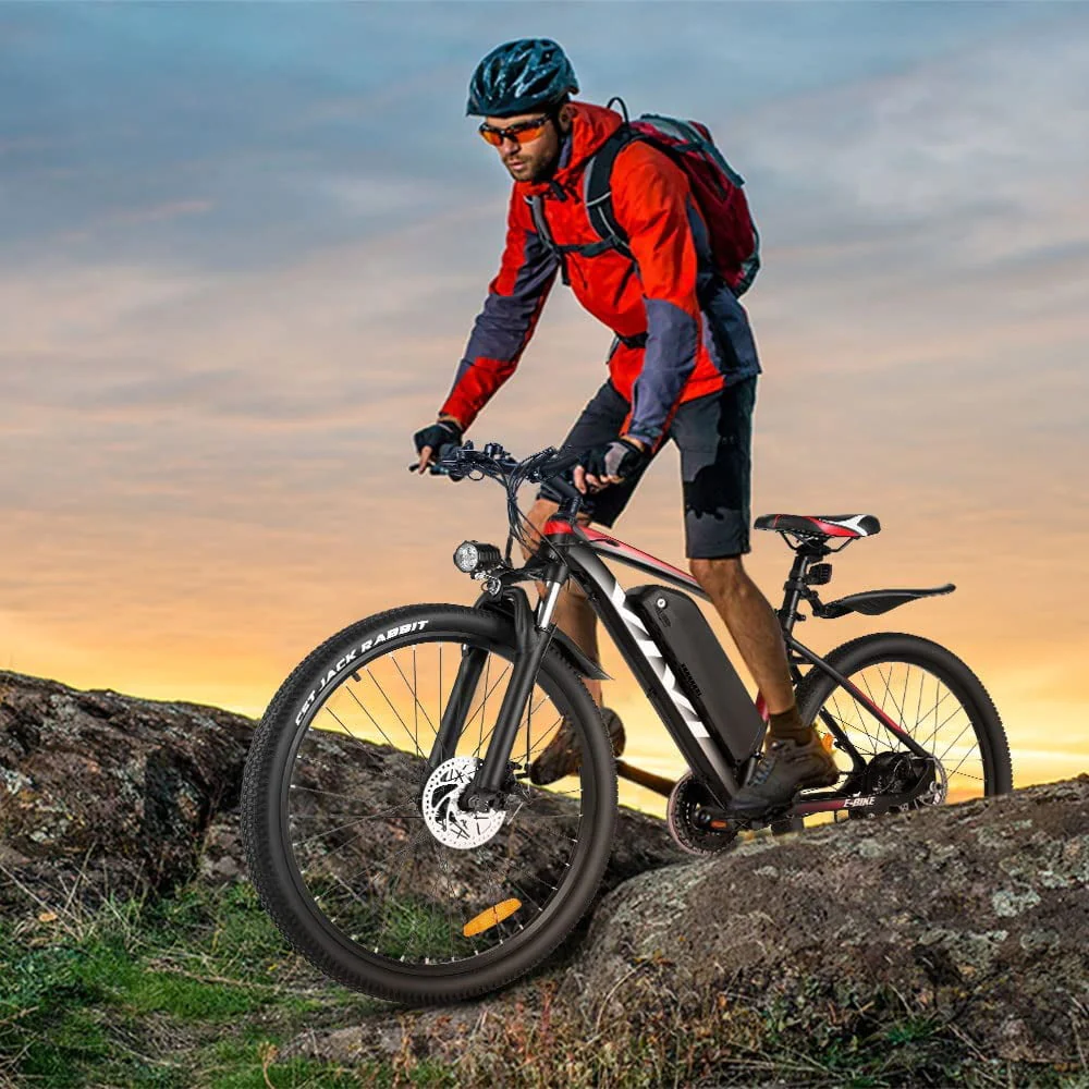 Vivi Electric Bike 27.5