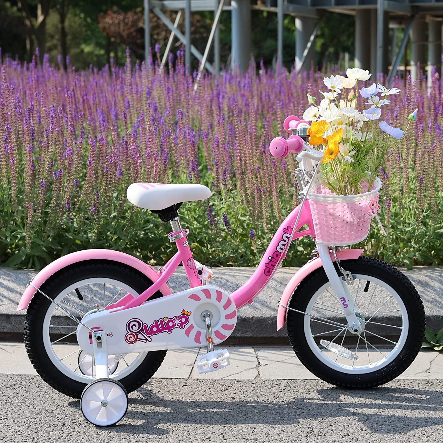 RoyalBaby Chipmunk Girls Kids Bike Bicycle with Basket Training Wheels 14 Inch Lollipop Pink