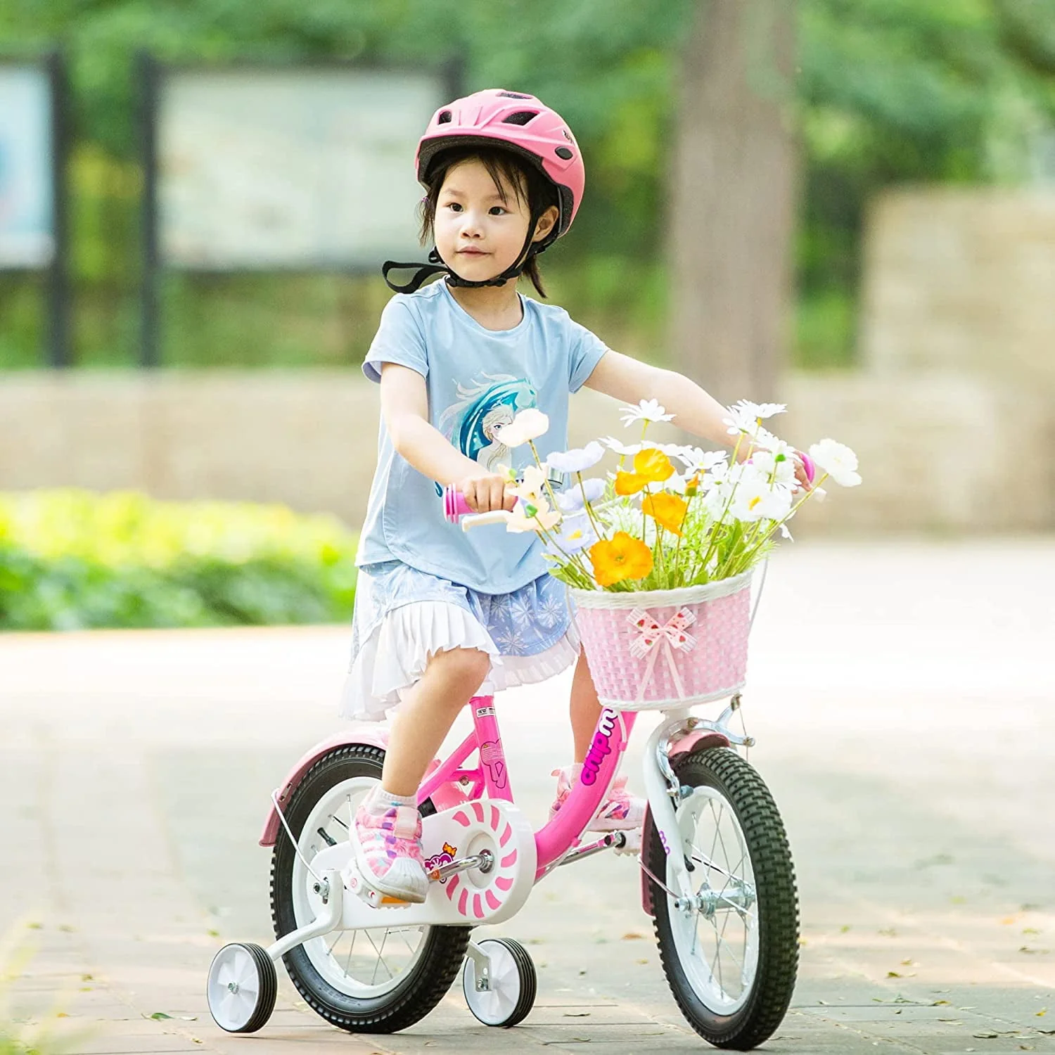RoyalBaby Chipmunk Girls Kids Bike Bicycle with Basket Training Wheels 14 Inch Lollipop Pink