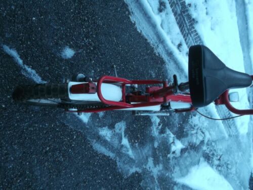 QUEEN VENETA FOLDING GRAZIELLA POKET BIKE BIKE STYLE T&C TREOLDI CASIRAGHI