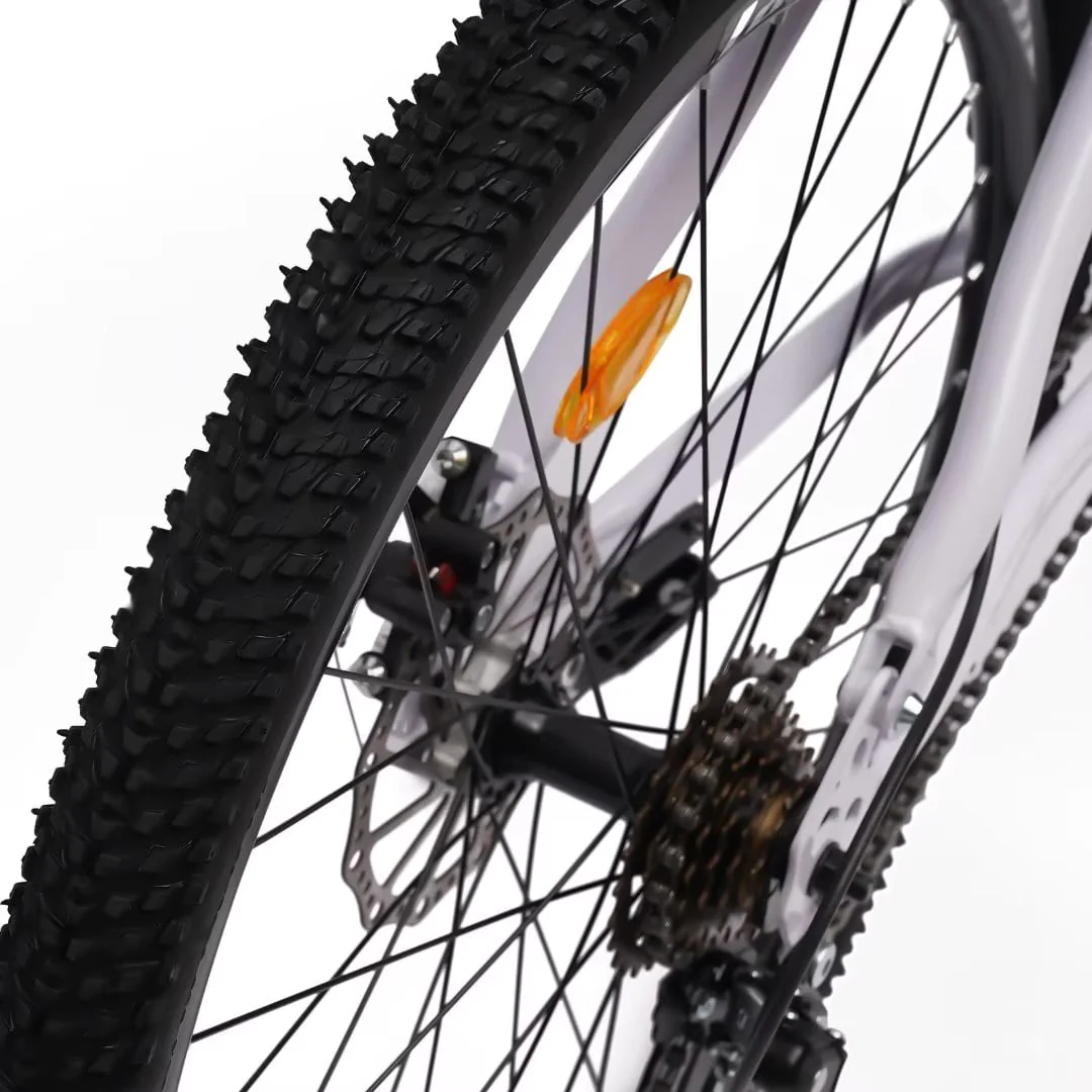 TFCFL 21-Speed Bike Folding Mountain Bike with Variable Speed Positioning Chain Large Footrest Folding Clip